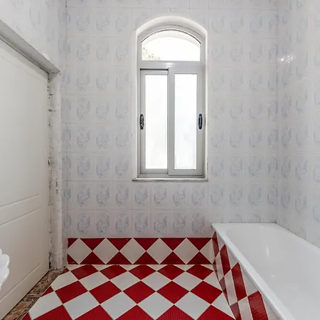 Shiroka By Pikhost Shkodër