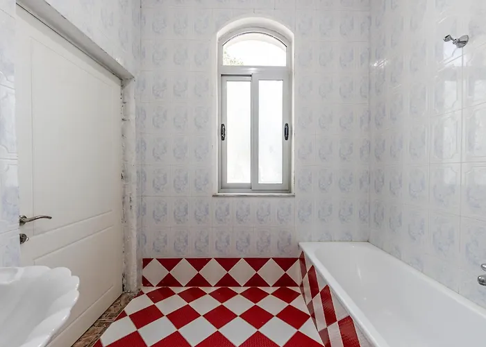 Shiroka By Pikhost Shkodër